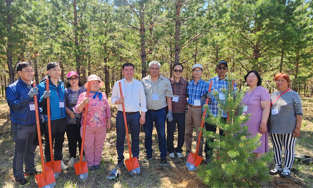 🌳Сэлэнгэ аймгийн Тужийн нарсанд БНСУ-ын дэмжлэгтэйгээр ойжуулалт хийсний 20 жилийн ой энэ сарын 20-ны өдөр тохиолоо.
🌳Тужийн нарс нь Сэлэнгэ аймгийн Алтанбулаг, Сүхбаатар, Шаамар сумдын нутгийг дамнан оршдог экосистемийн тэнцвэрт байдлыг хадгалах ач холбогдолтой байгалийн өвөрмөц тогтоц бүхий түүхэн дурсгалт газар юм. Энэхүү тужийн нарсанд 1986-2002 онуудад 7 удаагийн их хэмжээний түймэр гарахын зэрэгцээ иргэдийн эмх замбараагүй ашиглалтын нөлөөгөөр 70 орчим хувь нь устсан гашуун түүхтэй.